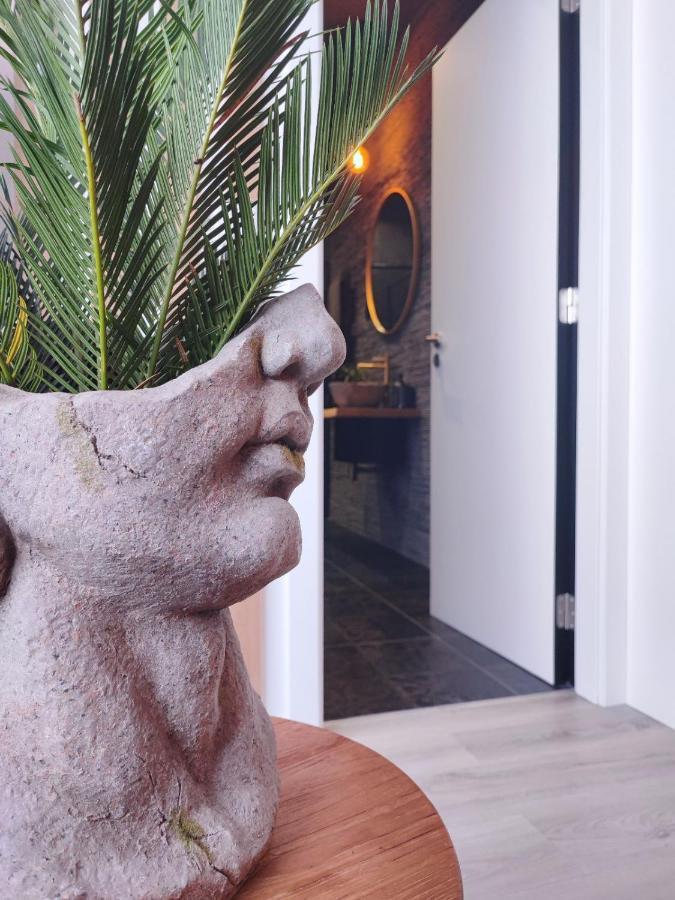 O Flamingo Apartments Ovar Eksteriør billede